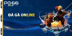 Đá Gà Online